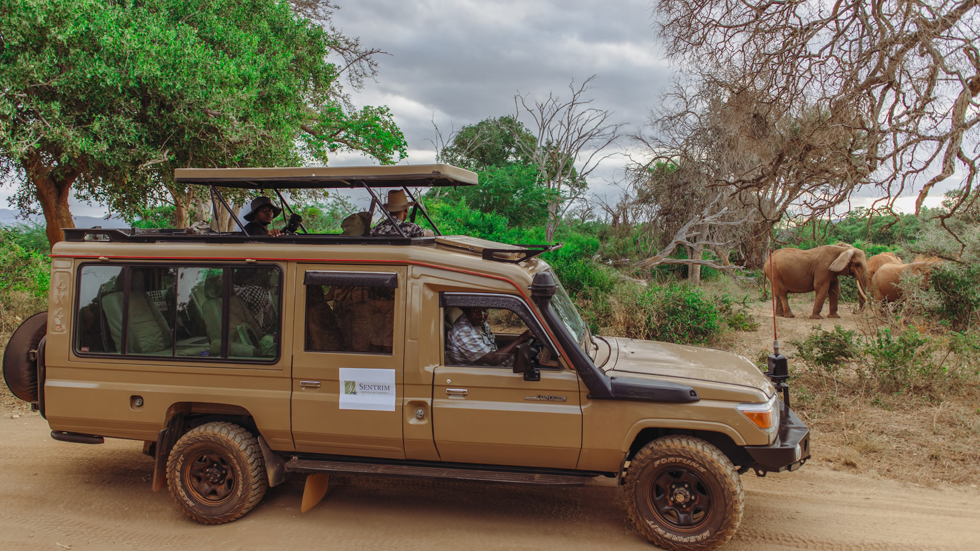 sentrim tsavo game viewing activities