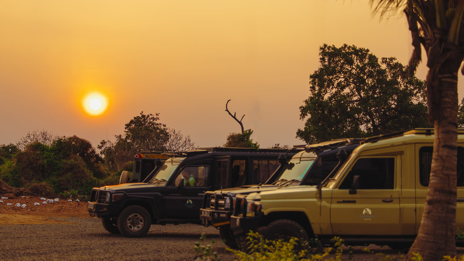 sentrim tsavo game drives